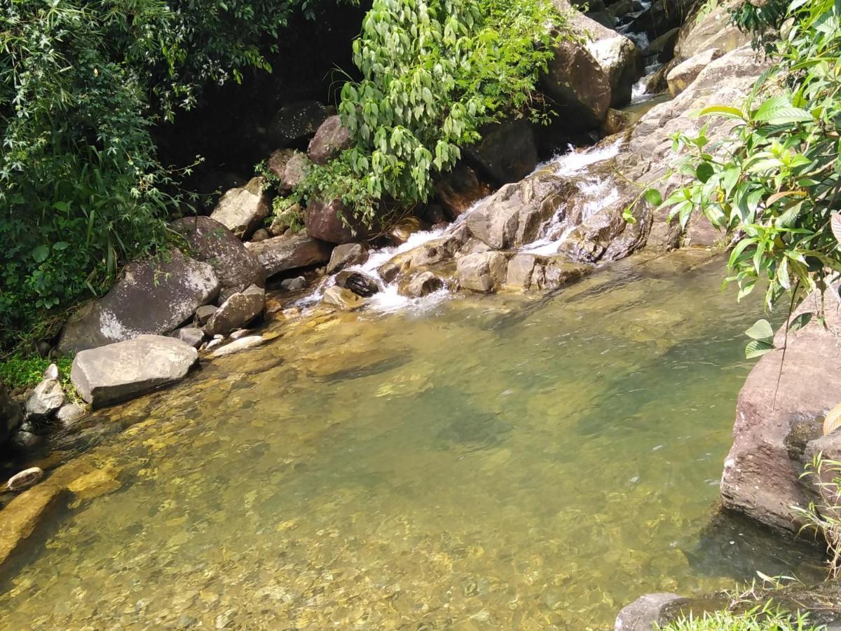 White Kitulgala